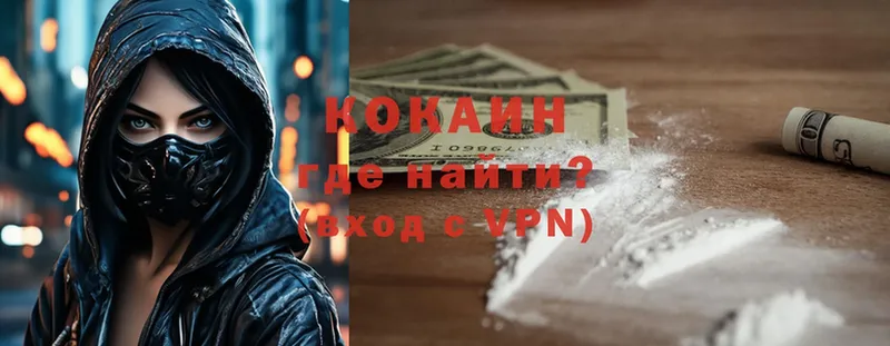 где купить   Лагань  COCAIN Columbia 